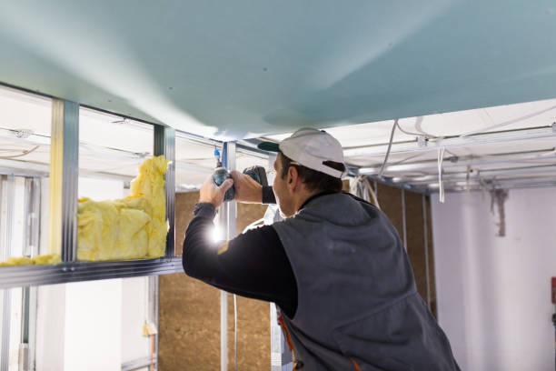 Best Insulation Installation Services in Ckam Housing, HI