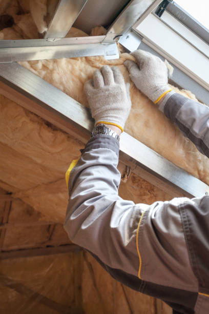 Best Insulation Maintenance and Repair in Ckam Housing, HI