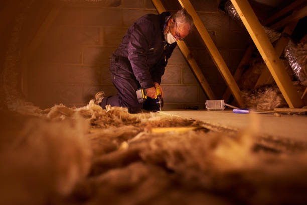 Best Types of Insulation in Ckam Housing, HI